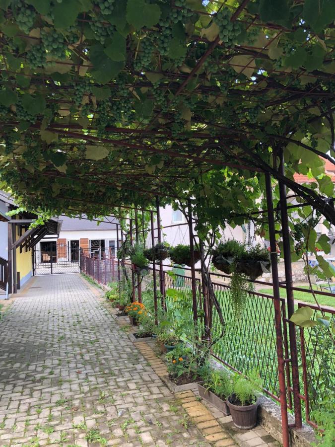 Apartmani Joma Bajina Basta Esterno foto